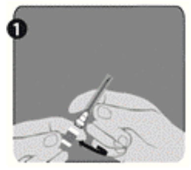 Capture d’écran 2025-12-08 à 08.59.08.png