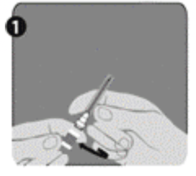 Capture d’écran 2025-12-08 à 09.01.15.png